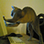 Profile Picture of Herer (@herer) on Flickr