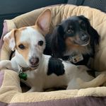 Ernest  Profile Picture of Ernest