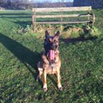 Mally Madness - Instagram Profile Picture of Mally Madness (@paul.flett) on Instagram