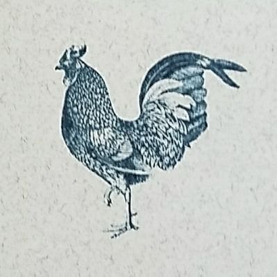 Profile Picture of Tom Bean (@TomBean5) on Twitter