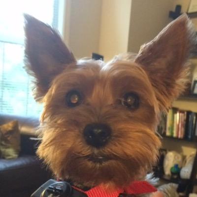 Profile Picture of Keely Harris (@keelz_marie) on Twitter