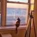 Profile Picture of Michael Schor Photography (@michaelschor) on Pinterest