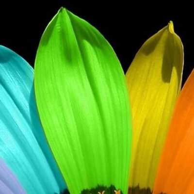 Profile Picture of Brenna Quinn Dolezal (@dolezalquinn) on Twitter