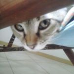 Profile Picture of Zerneri sonia (@zernerisonia) on Instagram
