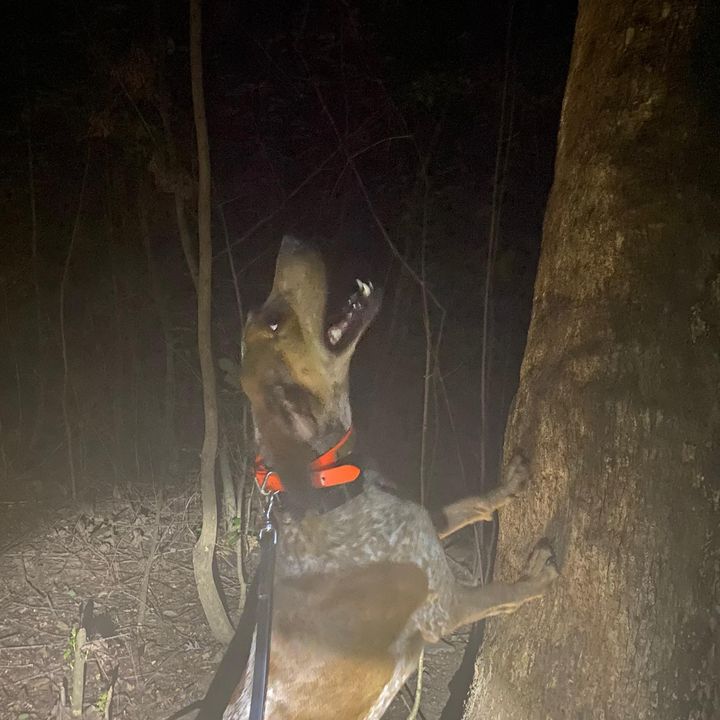 Chase Boswell - Tiktok Profile Picture of Chase Boswell (@@chaseboswell0) on Tiktok