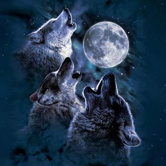 Profile Picture of Jeffrey Geary (@jrygry6) on Twitter