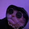 Profile Picture of Luci Rush (@lucirush.pubg) on Tiktok