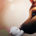 Profile Picture of Nila Kowalyshen (@dakotapup313) on Instagram