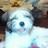 Profile Picture of jim lennon (@@jimlennon3) on Tiktok