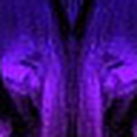 Profile Picture of Lisa-Marie Garden (@lisa_live_and_loud) on Flickr