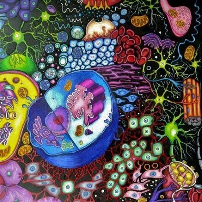 Profile Picture of Isabel Peraza (@isabelperaza4) on Twitter