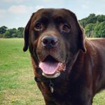 Profile Picture of Bob Barton (@bobbartoneng) on Instagram