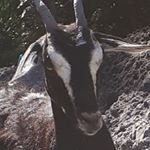 Profile Picture of hank evans (@hank_evanss) on Instagram