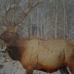 Profile Picture of Christopher Terry (@terry.christopher) on Instagram