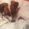 Profile Picture of Tyler Gardner (@@tylergardner5) on Tiktok