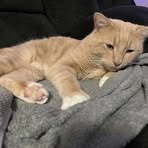 Profile Picture of Aubrey Downey (@Aubrey-Downey) on Facebook