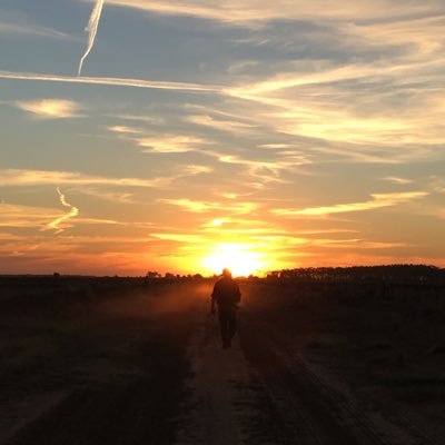Profile Picture of Nancy Lashbrook (@NancyLashbrook3) on Twitter