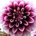 Profile Picture of Kendra Hendricks (@kendra.hendricks.12) on Facebook