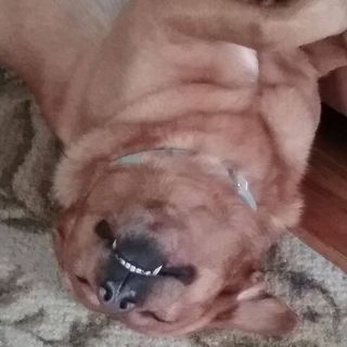 Profile Picture of Ed Whitacre (@Ed-Whitacre) on Facebook