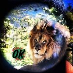 Profile Picture of Alex Avendano (@alexave7819) on Instagram