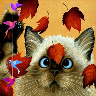 Profile Picture of Joyce Wilking (@joyce.wilking.1) on Facebook