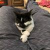 Profile Picture of user340652 (@@derek.daugherty) on Tiktok