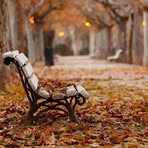 Profile Picture of Adam Adam (@Adam-Adam) on Facebook