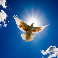 Profile Picture of Mohamed Elazab (@mohamed-elazab-17) on Quora