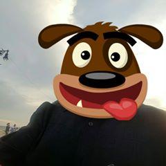 Profile Picture of Bruce Decristo (@brucedecristo) on Tiktok