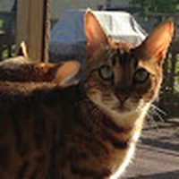 Profile Picture of Jay Quintero (@jay-quintero-9) on Quora