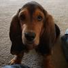 Profile Picture of jeffbarbour502 (@@jeffbarbour502) on Tiktok