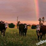 Profile Picture of Simon Carter (@cartersnaps) on Instagram