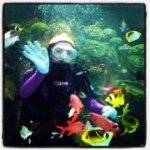 Profile Picture of Lisa Larkin-Mitchell (@larkinlisa) on Instagram