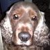 Profile Picture of Billy Cadman (@billy.cadman.64) on Facebook