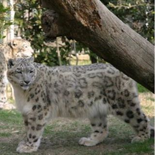 Profile Picture of Ralph Guyton (@guyton.ralph) on Facebook