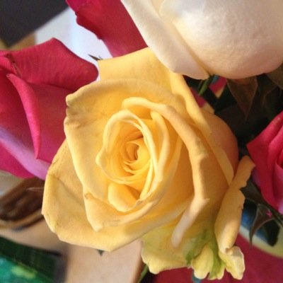 Profile Picture of Kim Dos (@kimdos26) on Twitter