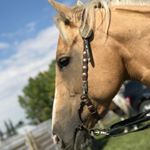 Profile Picture of Gracie Mary-Anne Chapple (@graciechapple302) on Instagram