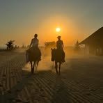 Profile Picture of Michaela Ringler (@Michaela-Ringler) on Facebook