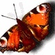 Profile Picture of Jean Holmes (@jean_holmes) on Myspace