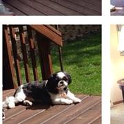 Profile Picture of Pete Kuklinski (@pete.kuklinski) on Facebook