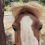 Profile Picture of Jimmy Strange (@jimmystrange6) on Instagram