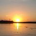 Profile Picture of Julie Brian Vickers (@julievickers102) on Pinterest