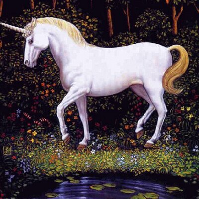 Profile Picture of Sherri Todd (@todd_sherri) on Twitter