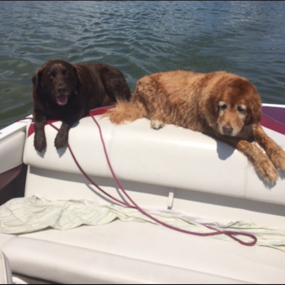 Profile Picture of Shanon Ozinga (@shanonoz) on Poshmark