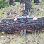 Profile Picture of gerald engel (@trailgerry) on Instagram