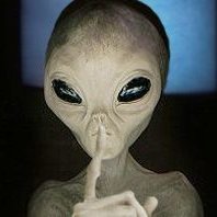 Profile Picture of Alien Domain (@WayneDawn33917) on Twitter