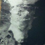 Profile Picture of Jesse Maynard (@maynard_jess) on Instagram