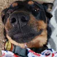 Profile Picture of Joel Tovar (@joel-tovar-21) on Quora