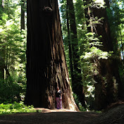 India Watson - Youtube Profile Picture of India Watson (@iwatson94) on Youtube