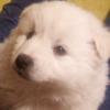 Profile Picture of jeremyslone4775659 (@@jeremyslone4775659) on Tiktok